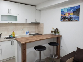Apartmani Pajic